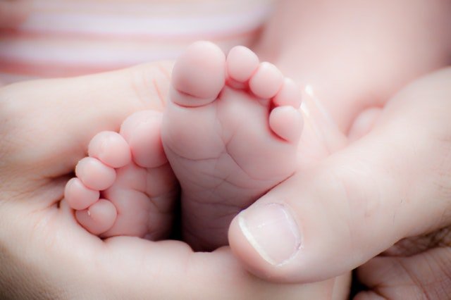 Folic Acid During Pregnancy