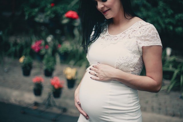 The Three Trimesters of Pregnancy